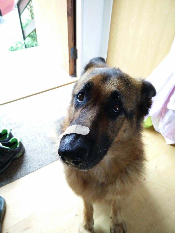 58c01ab8519ff_TxVIlncr__700