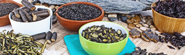 algas_cabecera-1-1140x340