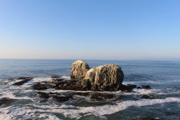 12644850_616684775150627_4503588659736892532_n