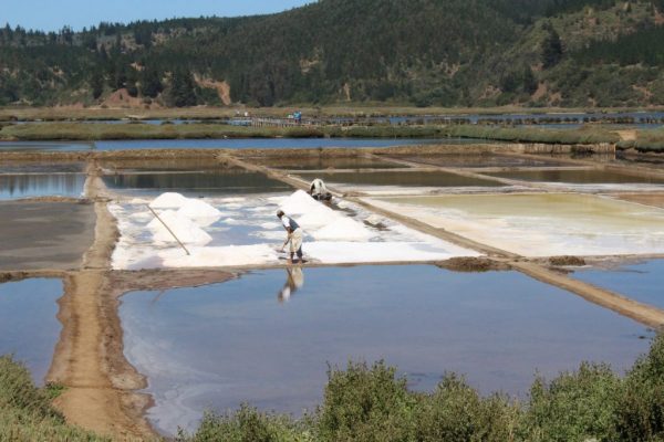 Las-Salinas-3-1024x683