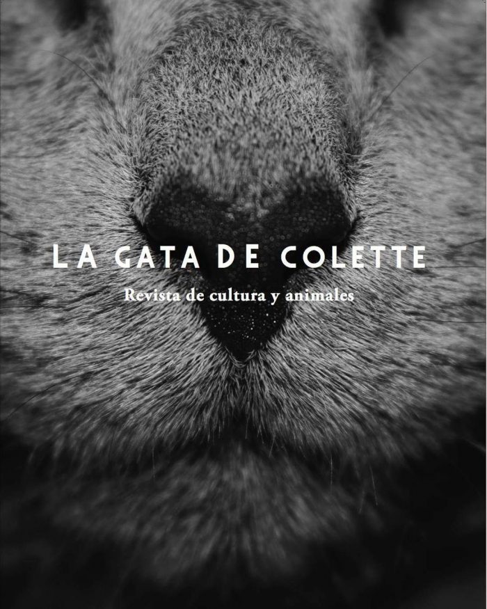 instacolette