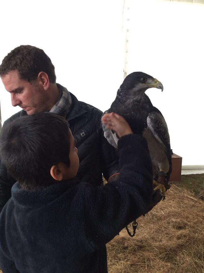 Aguila - Vuelo Controlado