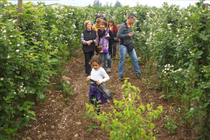 turismo-familiar-chimbarongo2