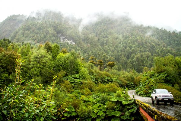 CARRETERA AUSTRAL 1_result