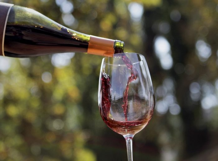 FIESTAS PATRIAS 2017 (2)