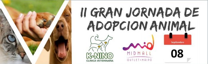 Segunda gran jornada de adopción animal