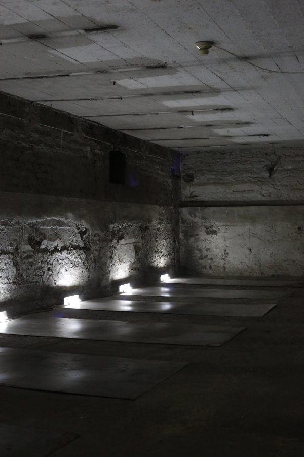 2. Credito para Sofia Yanjari