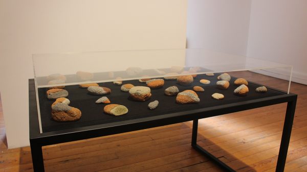 La piedra ideal (Serendipia) - Pablo Rivera