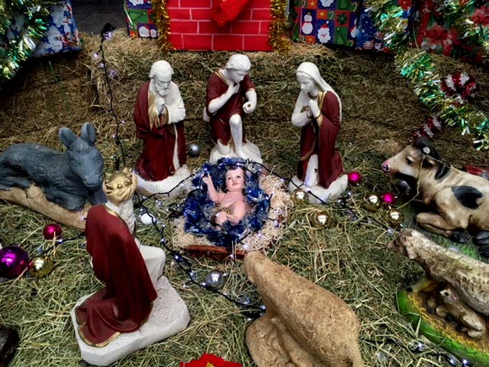 pesebretirsomolinadetalle