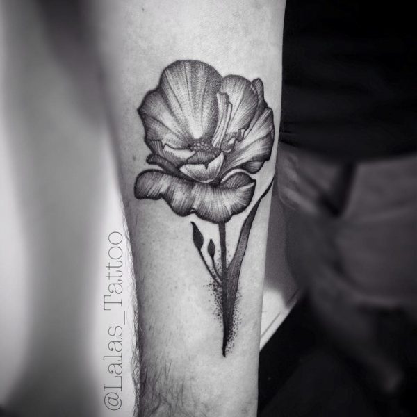 fb7d849f-70d1-4a41-9eb1-087dd39691be