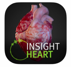 insight heart