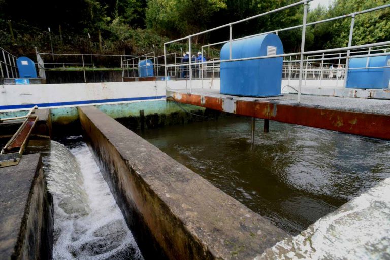 Osorno: Expertos consideran potable el agua de Essal, pero recomiendan consumir la envasada