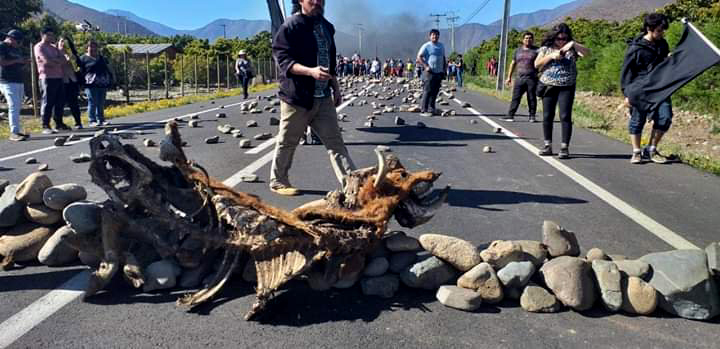 La estremecedora realidad de Petorca Morir por falta de agua Infogate