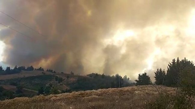 Onemi ordenó evacuación urgente del sector La Esmeralda, en la comuna de Quillón, por incendio forestal