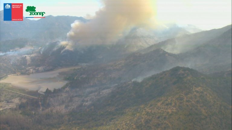 Alerta Roja por incendios forestales en las regiones de O’Higgins, Ñuble, La Araucanía y Los Lagos