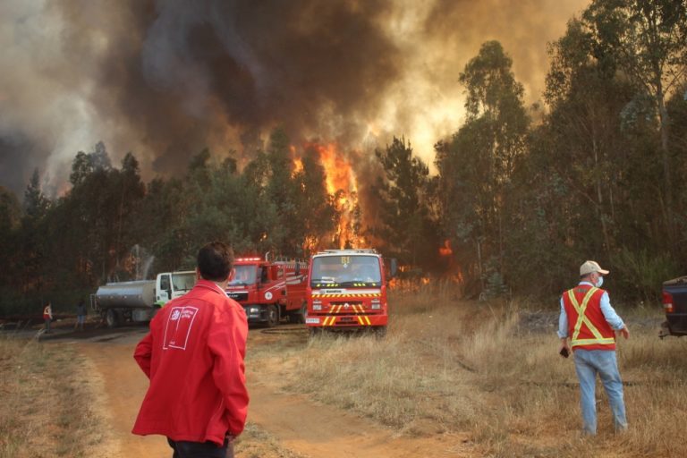 Delgado apunta a intencionalidad en los incendios forestales en La Araucanía