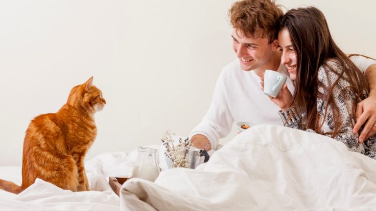 Desde poner límites hasta desparasitar: consejos para dormir de modo saludable con mascotas