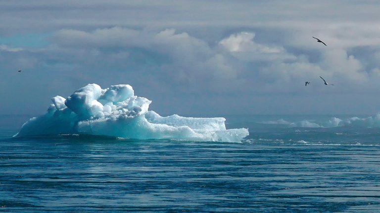 Google Arts and Culture y Naciones Unidas muestran el impacto del cambio climático con “El latido de la Tierra”